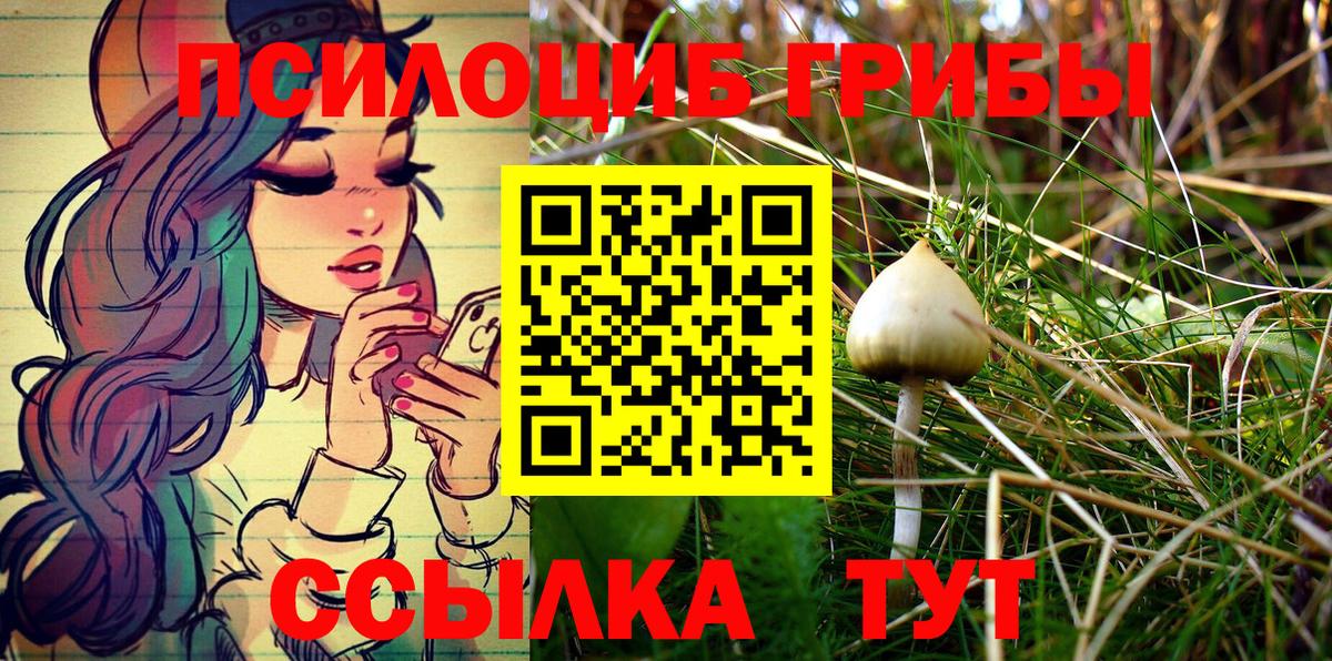 Галлюциногенные грибы прущие грибы Сальск